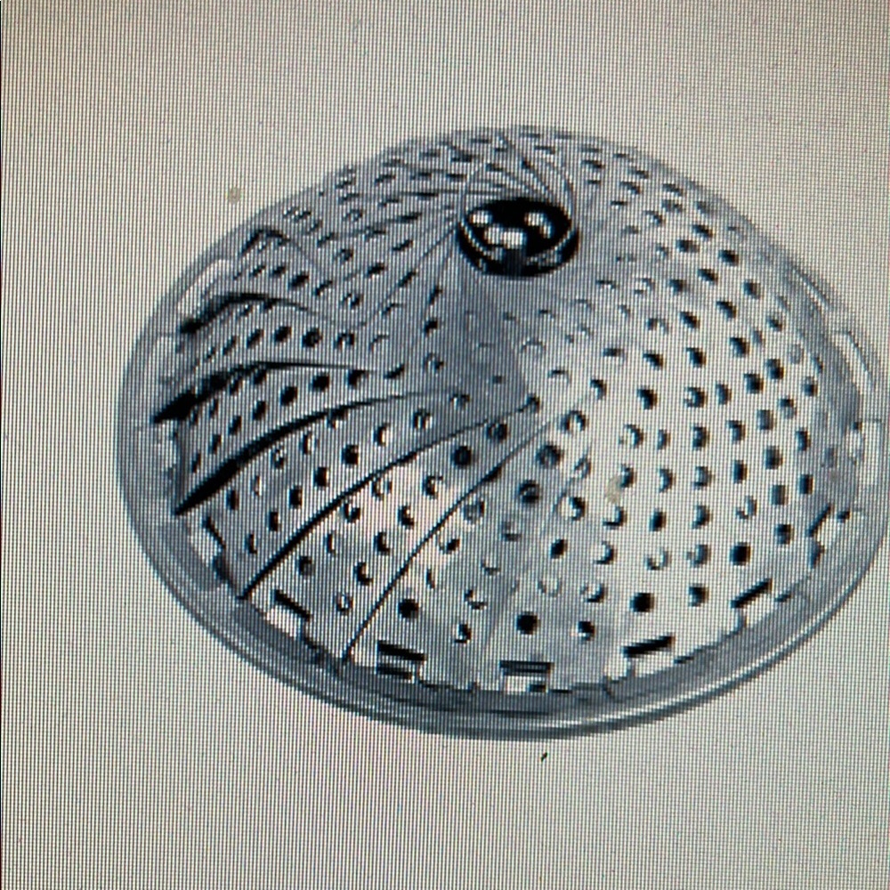 Silver Steamer Basket